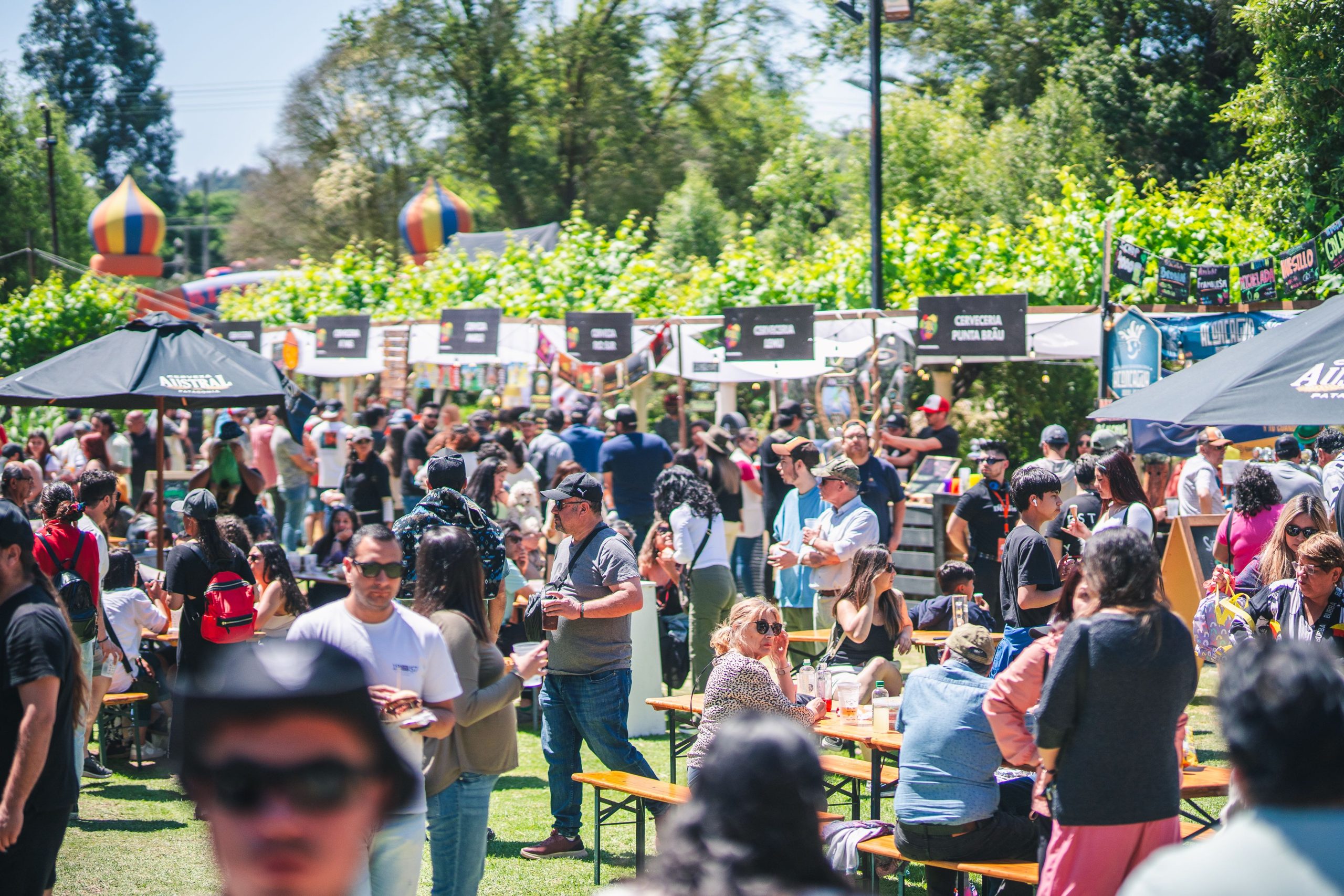 sanguchela nov 2023 207